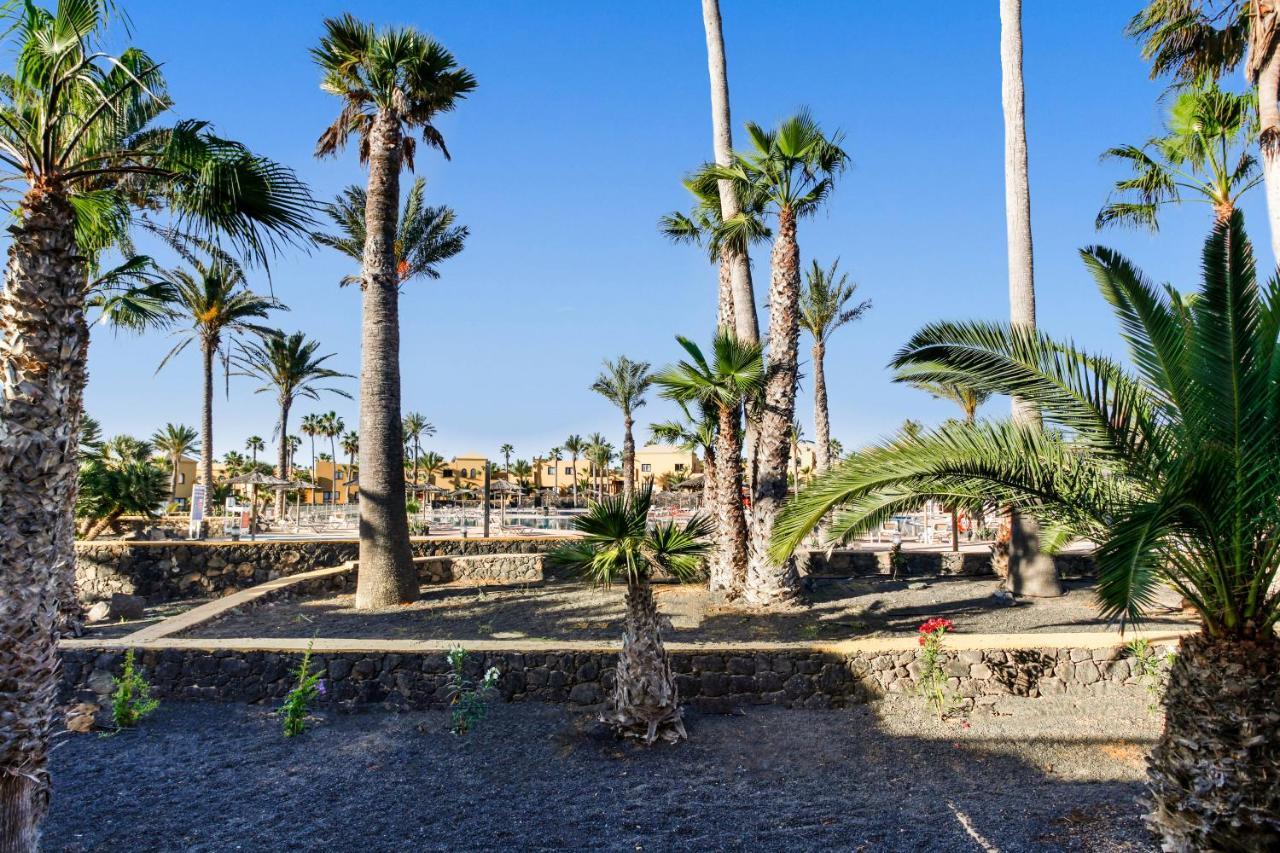 Apartamento Papagayo Daire Corralejo Dış mekan fotoğraf
